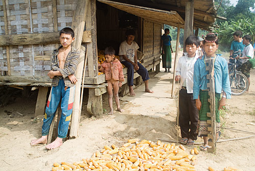 Laos con Mochila - Blogs de Laos - Etapa 5 - Trekking por Nam Tha (2º día) (5)
