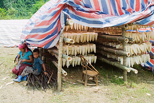 Laos con Mochila - Blogs de Laos - Etapa 4 - Trekking por Nam Tha (4)