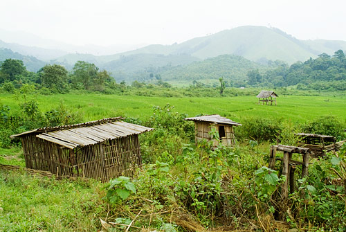 Laos con Mochila - Blogs de Laos - Etapa 6 - Trekking por Nam Tha (último día) (2)