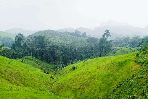 Laos con Mochila - Blogs de Laos - Etapa 5 - Trekking por Nam Tha (2º día) (2)