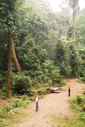 Laos con Mochila - Blogs de Laos - Etapa 4 - Trekking por Nam Tha (5)