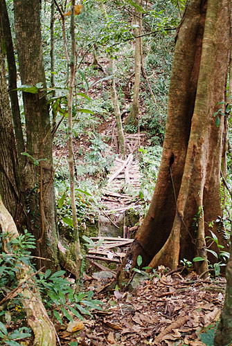 Laos con Mochila - Blogs de Laos - Etapa 5 - Trekking por Nam Tha (2º día) (3)