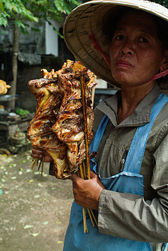 Laos con Mochila - Blogs de Laos - Etapa 13 - Pakse, la llegada al sur (3)