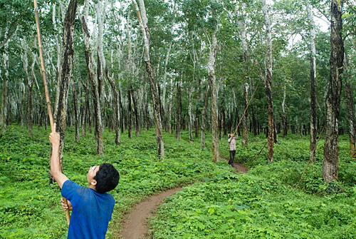 Capítulo 6 - Kompong Cham, entrando en la Camboya más profunda - Camboya, más allá de los Templos de Angkor (4)