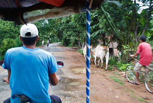 Camboya, más allá de los Templos de Angkor - Blogs de Camboya - Capítulo 7 - Kratie, más Mekong y los delfines Irrawaddy (2)