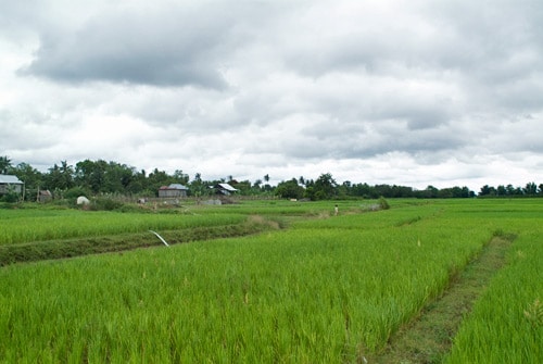 Capítulo 8 - Excursión en bicicleta por Koh Trong - Camboya, más allá de los Templos de Angkor (3)
