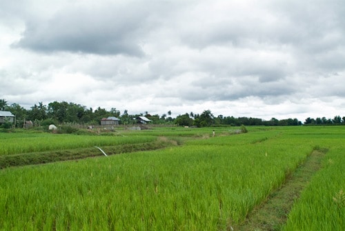 Camboya, más allá de los Templos de Angkor - Blogs de Camboya - Capítulo 8 - Excursión en bicicleta por Koh Trong (3)