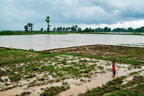 Camboya, más allá de los Templos de Angkor - Blogs de Camboya - Capítulo 9 – Camino a Siem Reap y las tarántulas fritas (2)