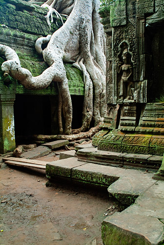 Capítulo 10 – Primer día en los templos de Angkor - Camboya, más allá de los Templos de Angkor (8)