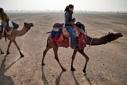 Capítulo 5 – Tour en camello por el desierto del Thar - India con mochila. Color, olor y seducción (5)