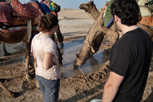 Capítulo 5 – Tour en camello por el desierto del Thar - India con mochila. Color, olor y seducción (9)
