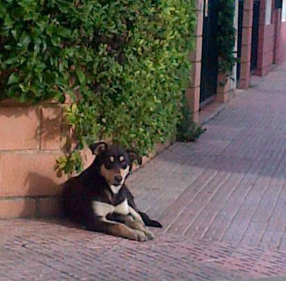 Foto de Lina