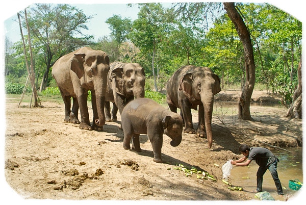 Foto de familia