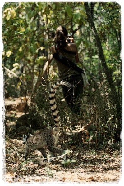 Visita a los encantadores lemures de cola anillada - Madagascar con mochila, descubriendo la isla africana (5)