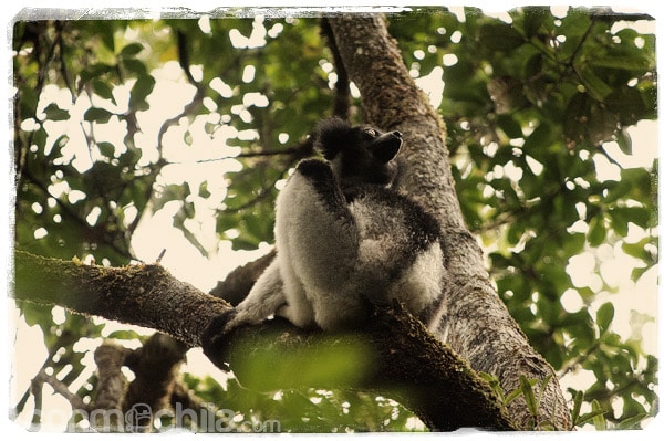 Veloma Madagascar. Punto y final de la gran aventura africana - Madagascar con mochila, descubriendo la isla africana (2)