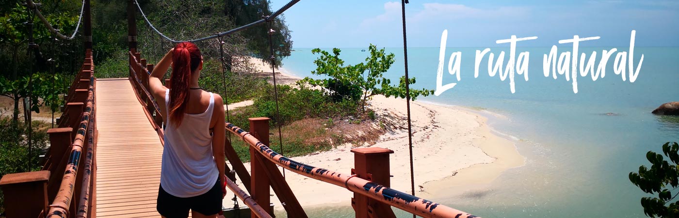 Lo que el arrecife me enseñó 11 La ruta natural, por María Marcos