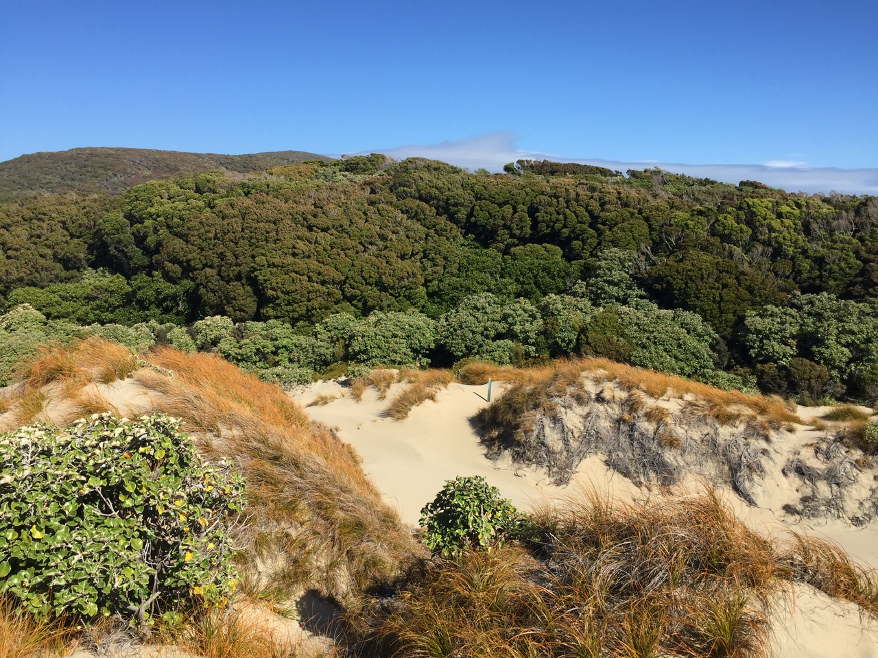 10 días realizando el North West Circuit de Stewart Island 4 Señalizaciones sobre las dunas
