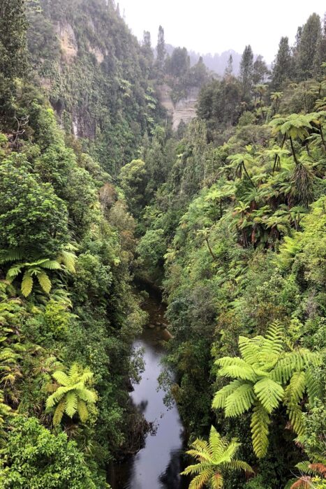 Whanganui, cinco días de aventura aventura por el río 9 Visatas desde el puente