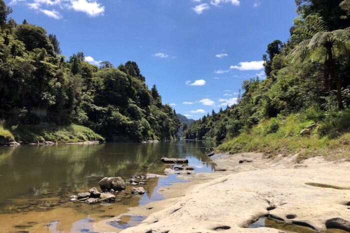 Whanganui, cinco días de aventura aventura por el río 1 5 días por el río Whanganui