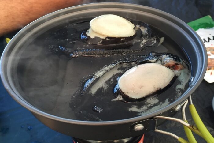 10 días realizando el North West Circuit de Stewart Island 13 Pauas