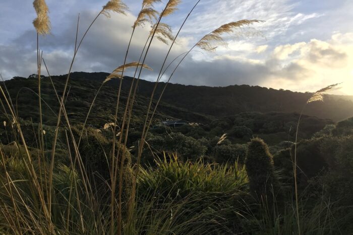 10 días realizando el North West Circuit de Stewart Island 22 Ver la cabaña nos dio energías después de tan largo día