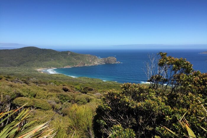 10 días realizando el North West Circuit de Stewart Island 30 Vistas a Waituru Bay desde los arbustos