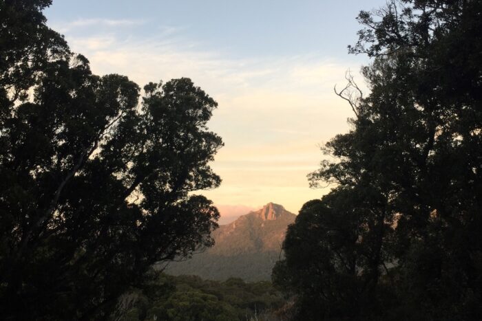 10 días realizando el North West Circuit de Stewart Island 33 Vistas desde la cabaña
