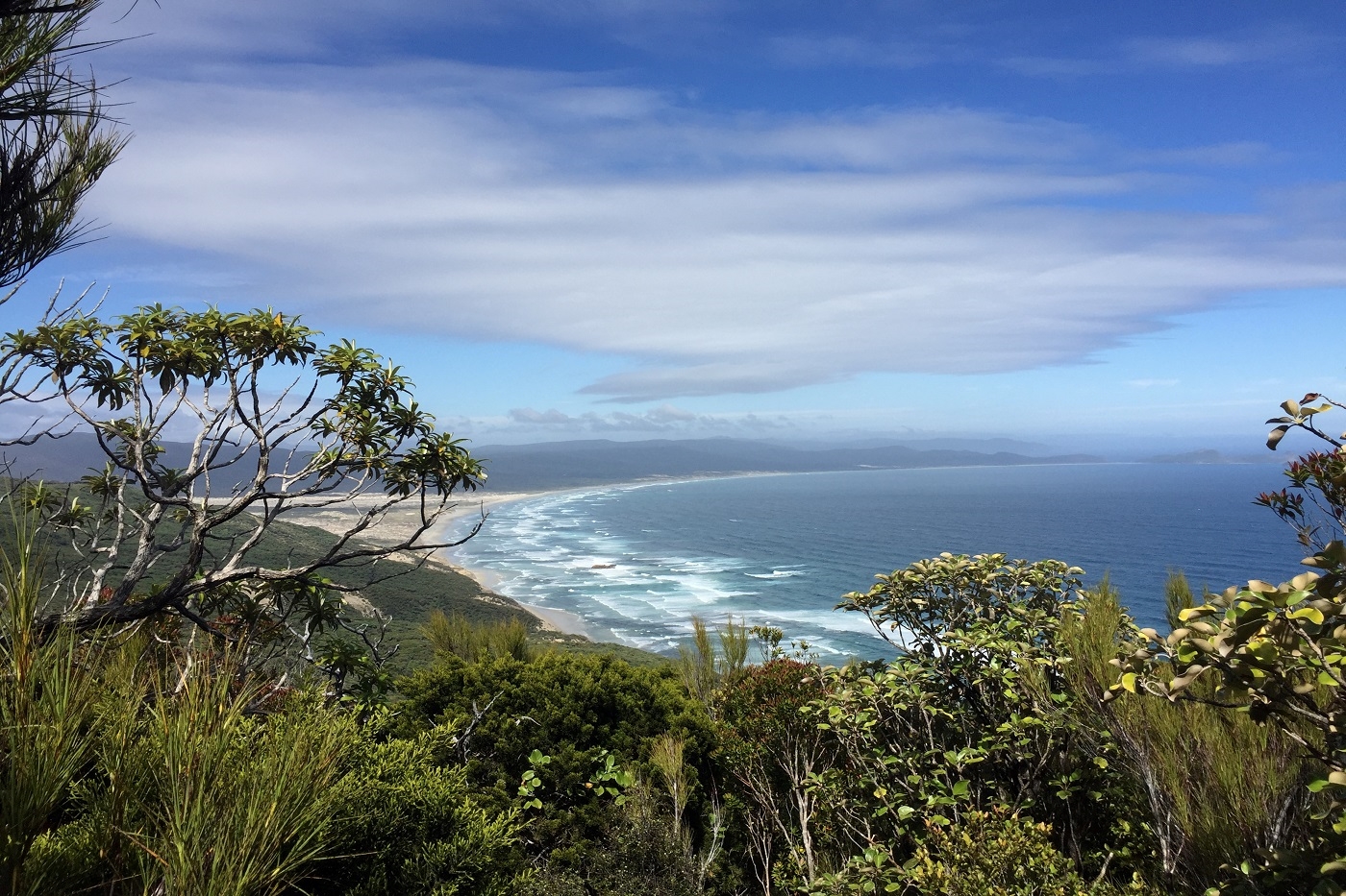 10 días realizando el North West Circuit de Stewart Island 1 Vistas del North West Circuit