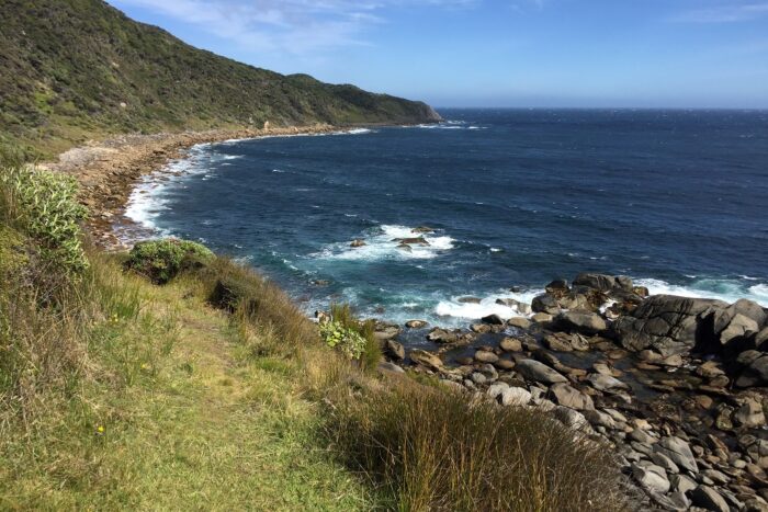 10 días realizando el North West Circuit de Stewart Island 5 Sendas entre arbustos que te llevan a playas rocosas.