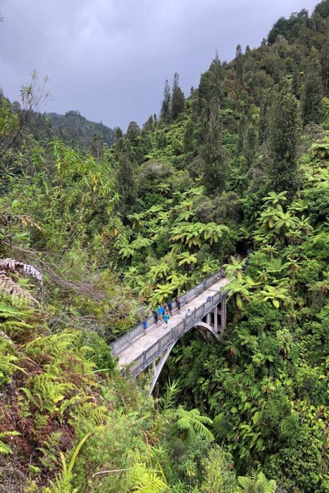 Whanganui, cinco días de aventura aventura por el río 8 Bridge to Nowhere