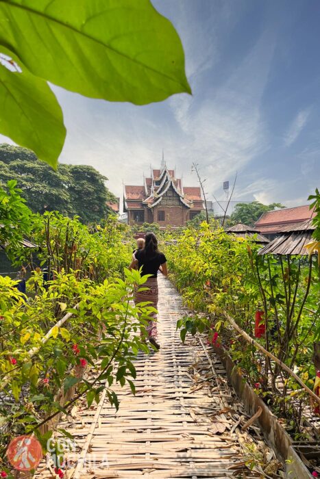 Wat Jet Lin, un templo con estanques y puentes de bambú en el corazón de Chiang Mai 3 Cruzar el puente de bambú era necesario