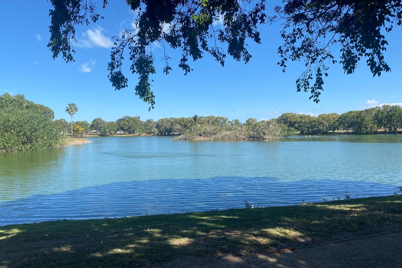 Bowen, la joya escondida de Airlie Beach que bien merece la pena 10 La laguna como protagonista