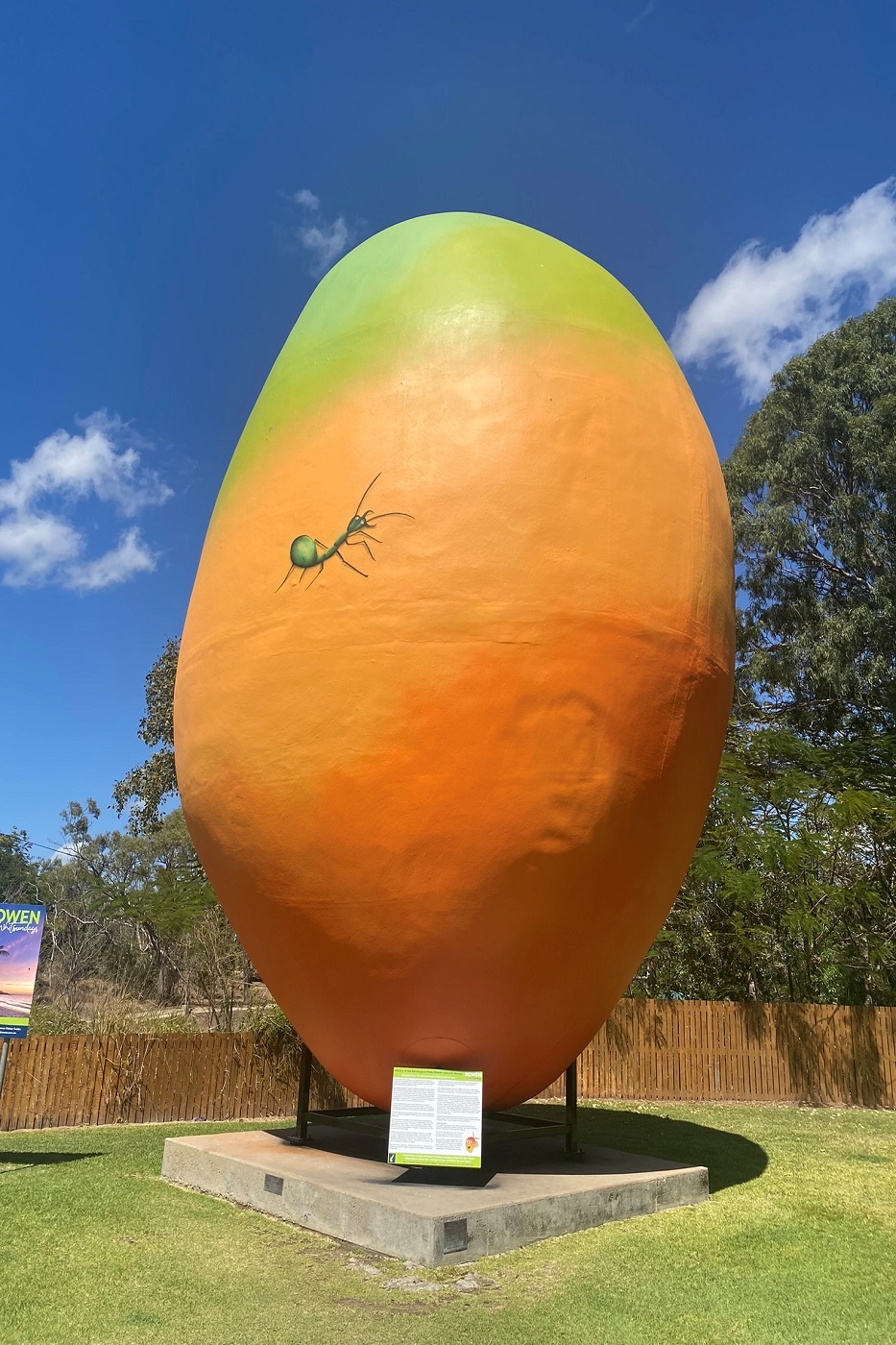 Bowen, la joya escondida de Airlie Beach que bien merece la pena 12 ¡Un mango gigante!