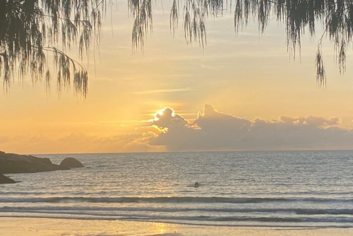Magnetic Island, la isla tropical de Townsville 4 Thea bañándose