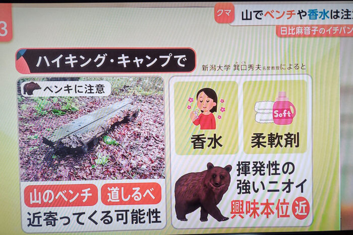 Japón bajo el terror del oso: cómo evitar malos encuentros en los montes japoneses 13 Consejos de la tele japonesa