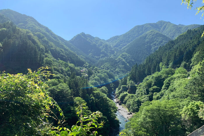Japón bajo el terror del oso: cómo evitar malos encuentros en los montes japoneses 15 Montes de Chichibu
