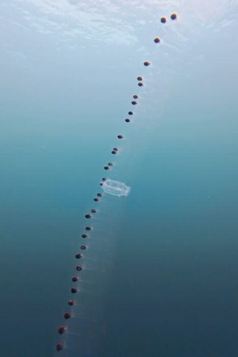 Por qué todo buceador debería vivir un liveaboard al menos una vez en su vida. 11 RajaAmpat.Maria Marcos.25 15