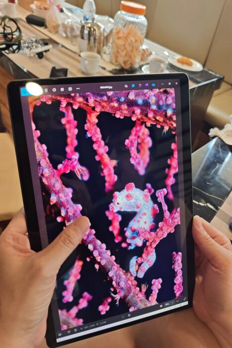 Por qué todo buceador debería vivir un liveaboard al menos una vez en su vida. 7 Entre buceo y buceo compartiamos y comentabamos cada encuentro. Esta foto la tomo mi compañero Allen Eng @guatjen