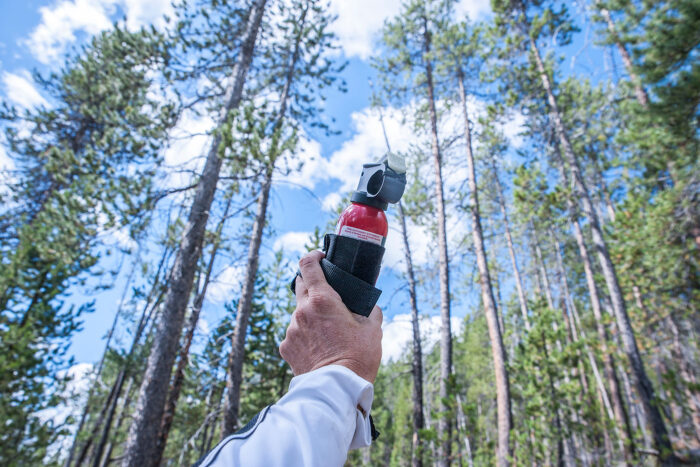 Japón bajo el terror del oso: cómo evitar malos encuentros en los montes japoneses 11 Spray antiosos