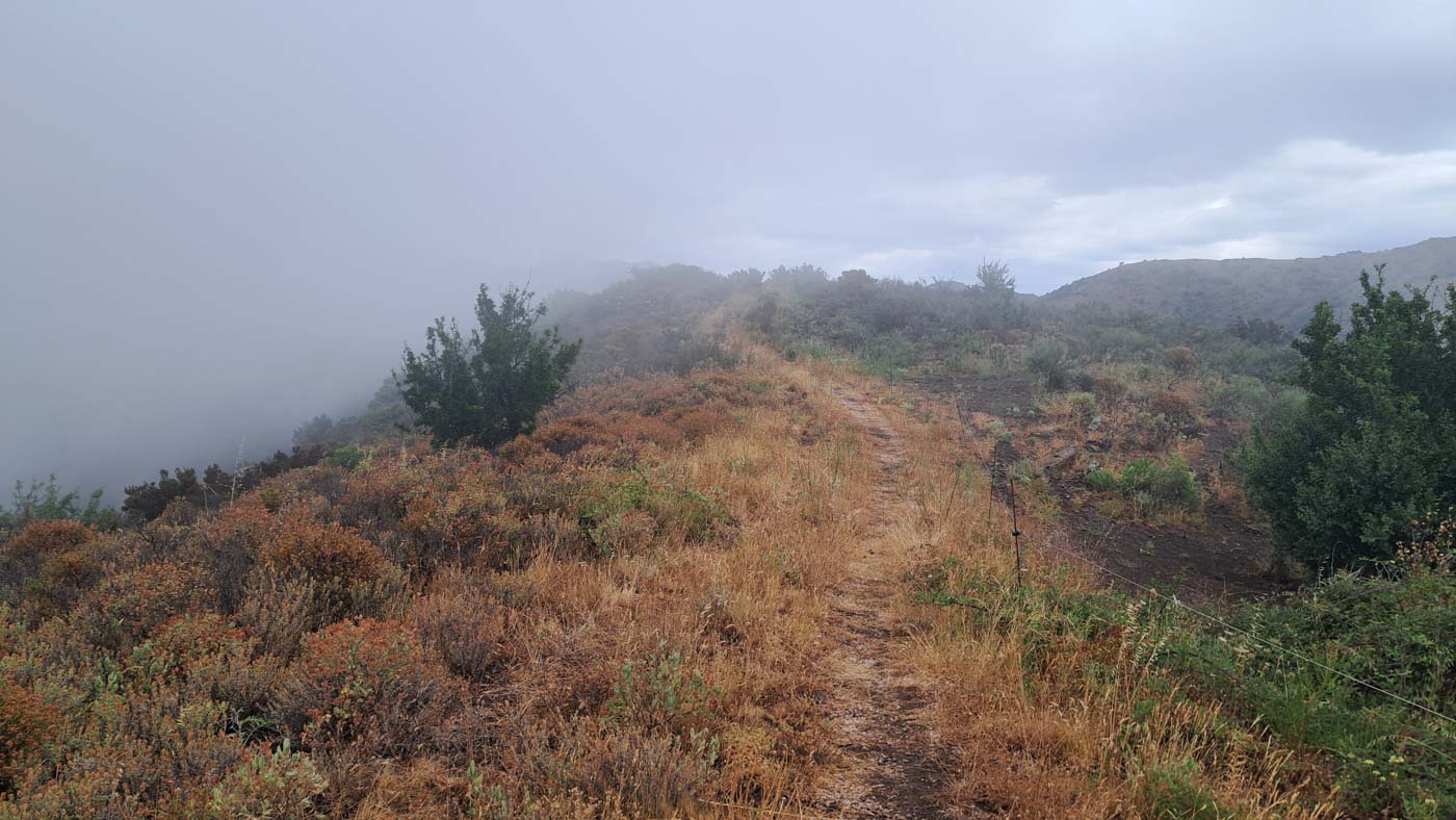 Etapa 2: Sant Pere de Rodes - Sant Quirze de Colera. Transpirenaica GR11. 4 Subida con lluvia y niebla hacia el Puig del Trauc