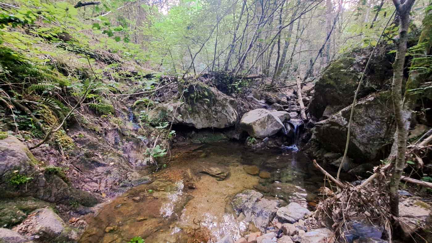 Etapa 5: Ermita de Santa Eugenia - Ermita de Sant Miquel de Fontfreda. Transpirenaica GR11. 5 Poza en mitad del bosque