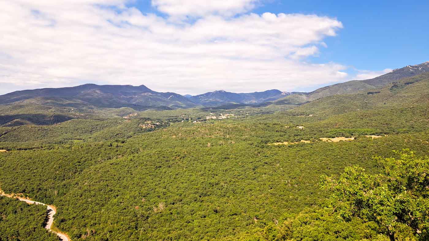 Etapa 5: Ermita de Santa Eugenia - Ermita de Sant Miquel de Fontfreda. Transpirenaica GR11. 4 Vistas de los bosques mediterráneos