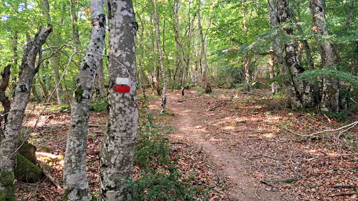 Cómo orientarte en la Transpirenaica: apps y consejos para la GR11 1 La marca roja y blanca indica el camino en el GR11