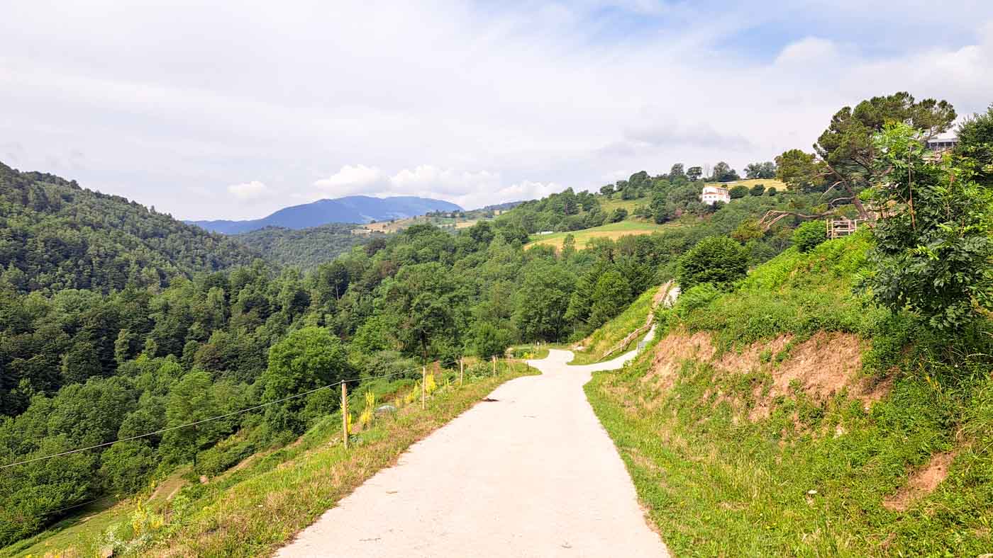 Etapa 8: Beget - Molló. Transpirenaica GR11. 3 Pista descendente entre campos y árboles