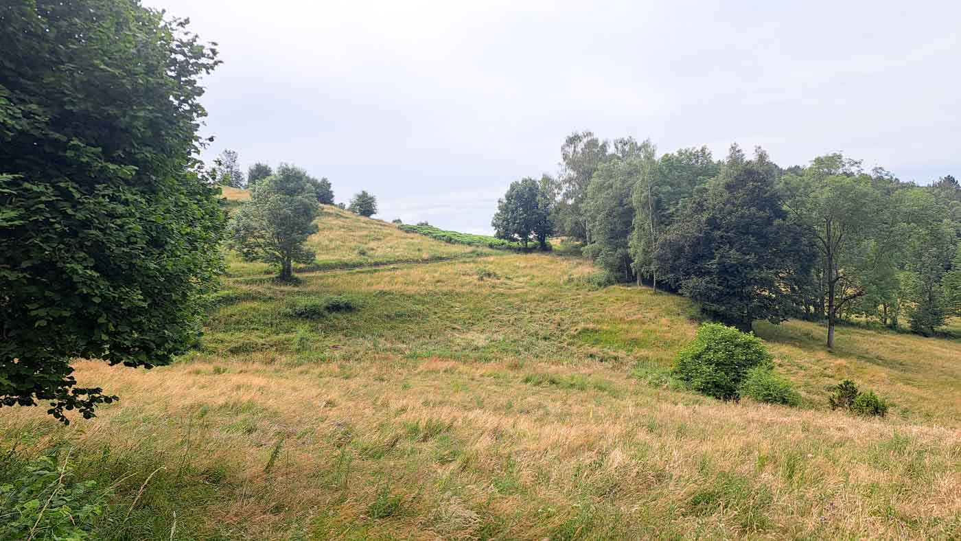 Etapa 8: Beget - Molló. Transpirenaica GR11. 2 Campos de pastoreo y árboles