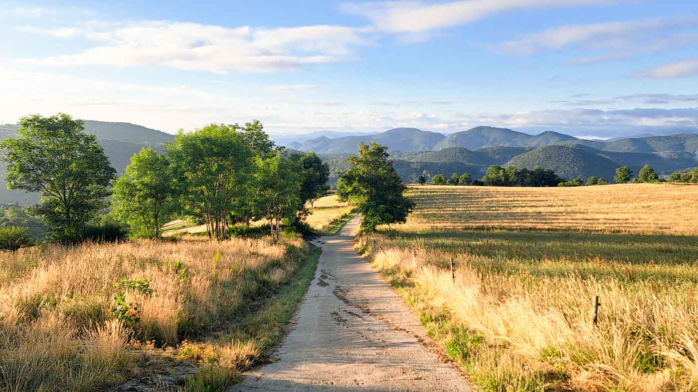 Etapa 9: Molló - Cabaña de Tirapits. Transpirenaica GR11. 2 Pista entre campos