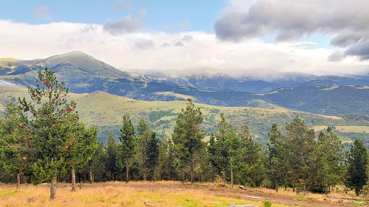Etapa 9: Molló - Cabaña de Tirapits. Transpirenaica GR11. 3 Bosque con montañas al fondo y nubes
