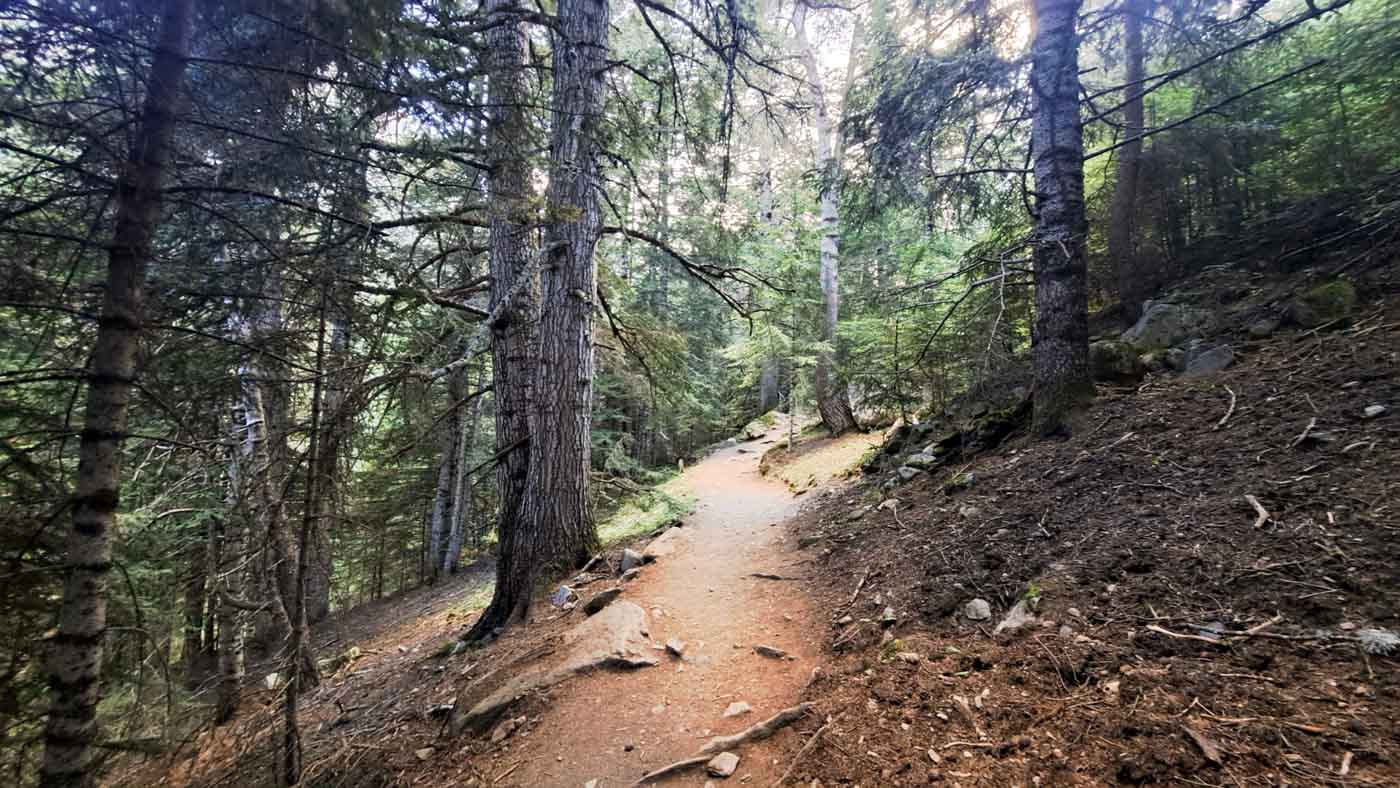 Etapa 19: Refugio Estaón - Refugio Ernest Mallafré. Transpirenaica GR11. 4 Bosques de entrada al Parque Nacional de Aigüestortes