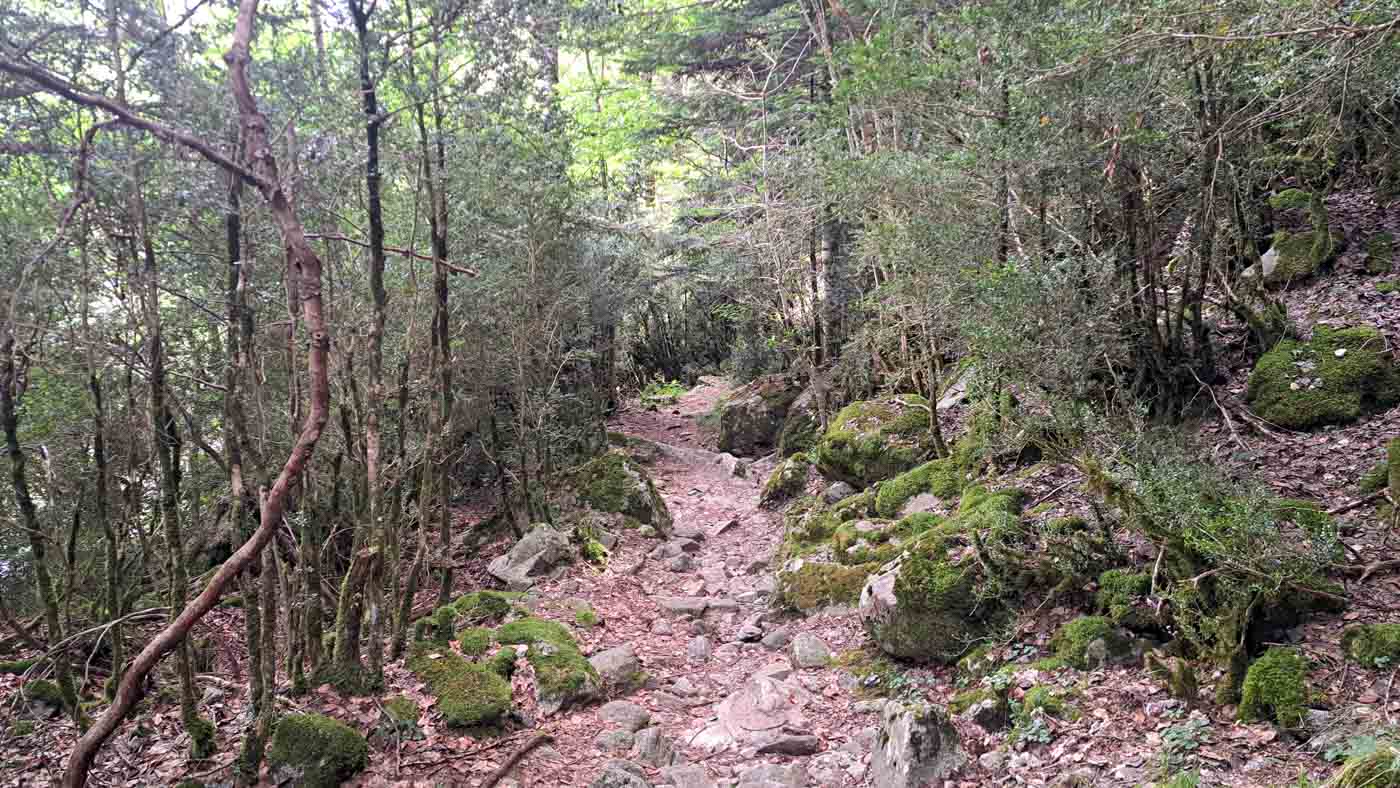 Etapa 21: Refugio Colomers - Boí. Transpirenaica GR11. 4 Camino del agua entre bosques húmedos