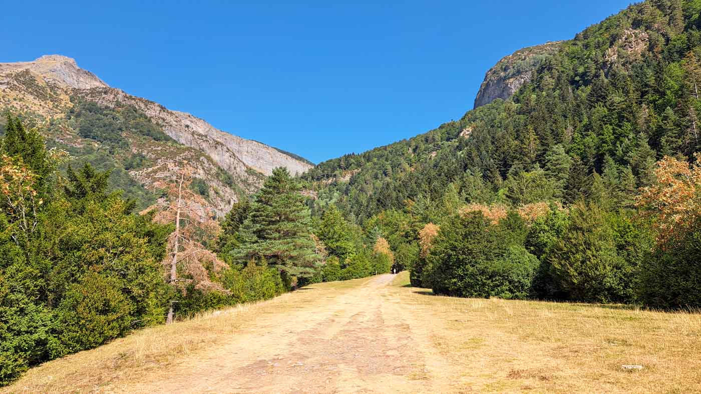 Etapa 31: Refugio de Bujaruelo - Vivac en río Ara. Transpirenaica GR11. 3 Aparecen los pinares a medida que remontamos el río Ara